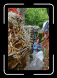 les quietils 018 * 2048 x 3072 * (2.41MB)